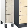 CAMBIO wooden locker with 6 compartments HPL doors (narrow model)