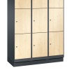 EVOLO Wooden locker with 9 wide compartments (MDF)