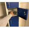 Steel Mini Locker with 10 compartments (Blue doors)
